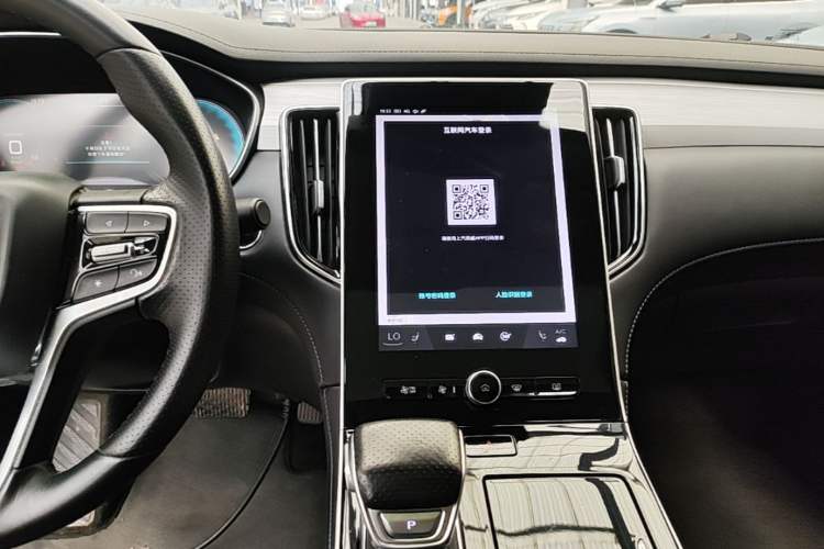 Used Rising ER6 2020 620 km ZhiZun Edition Audio And AC Panel