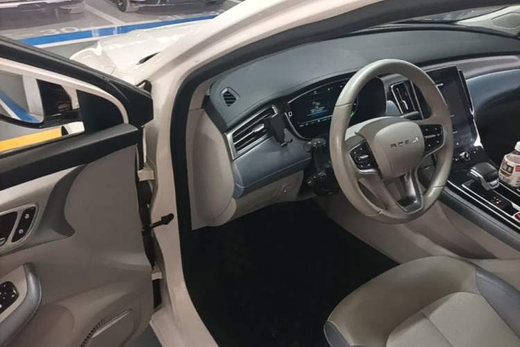 Used Rising ER6 2020 620 km Smart Drive Version Driver Seat