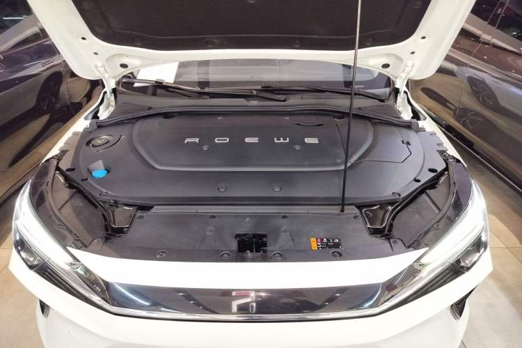 Used Rising ER6 2020 620 km Smart Edition Engine Bay