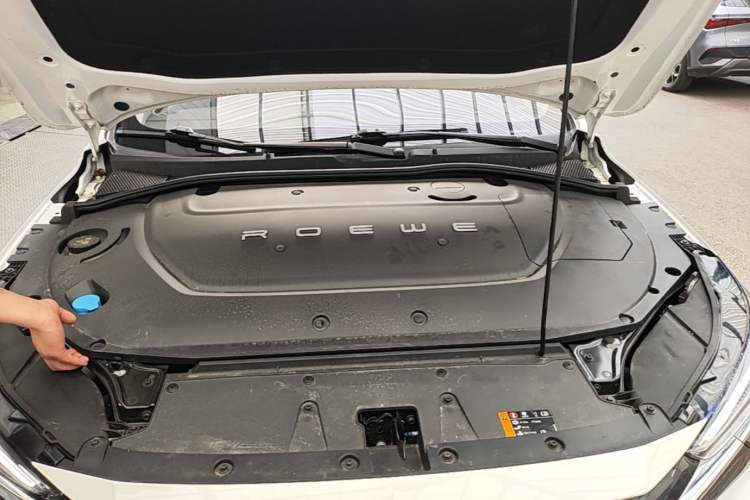 Used Rising ER6 2020 620 km ZhiZun Edition Engine Bay