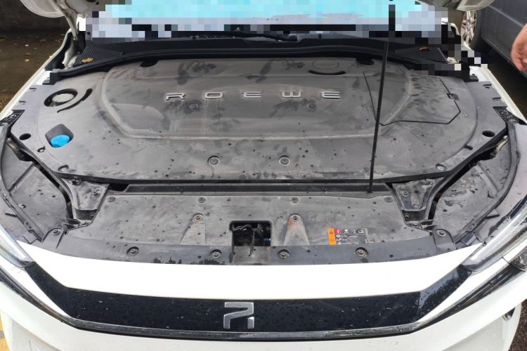 Used Rising ER6 2020 620 km Smart Edition Engine Bay