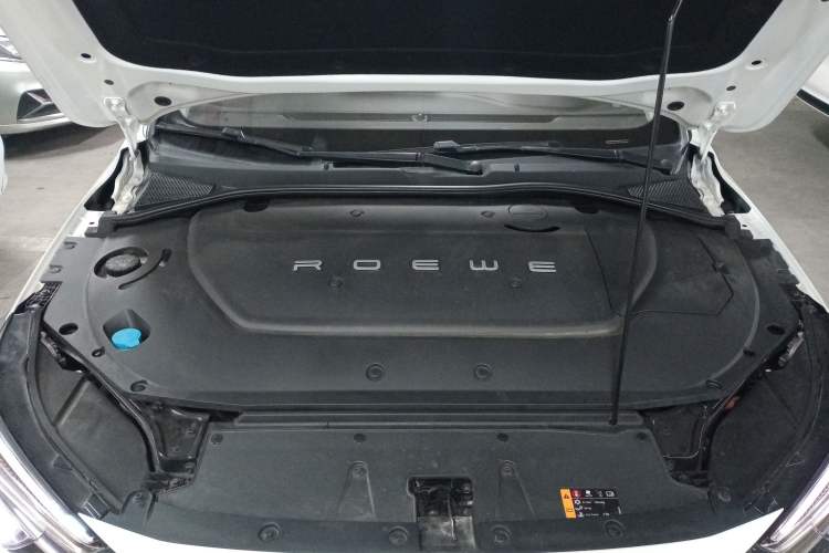 Used Rising ER6 2020 620 km Smart Edition Engine Bay