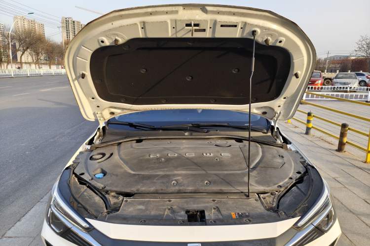 Used Rising ER6 2020 620 km Smart Edition Engine Bay
