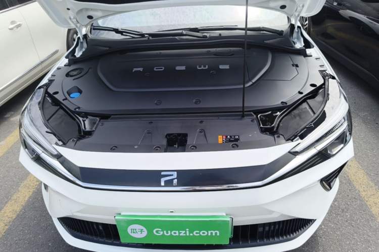Used Rising ER6 2020 620 km Smart Edition Engine Bay