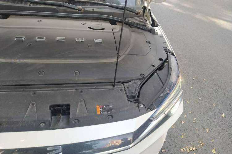 Used Rising ER6 2020 620 km Smart Edition Engine Bay Left