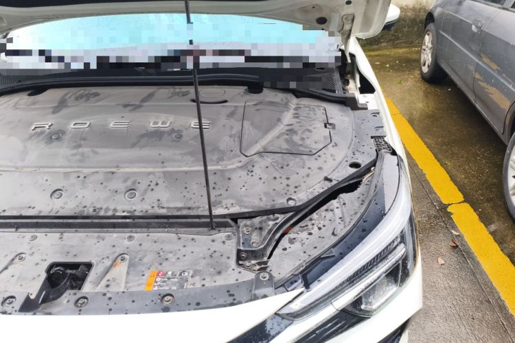 Used Rising ER6 2020 620 km Smart Edition Engine Bay Left