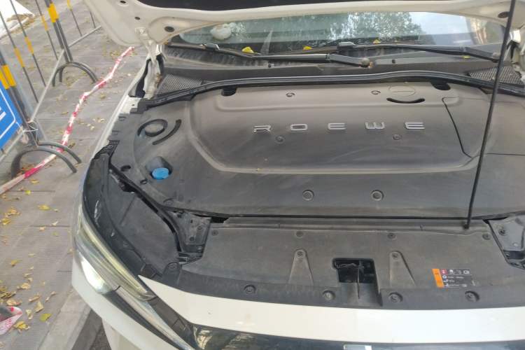 Used Rising ER6 2020 620 km Smart Edition Engine Bay Right