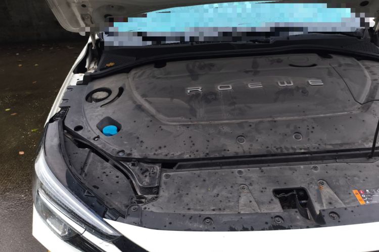 Used Rising ER6 2020 620 km Smart Edition Engine Bay Right