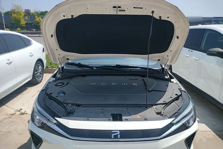 Used Rising ER6 2020 620 km Smart Edition Engine Bay