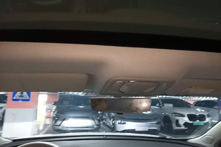 Used Rising ER6 2020 620 km Smart Drive Version Headliner