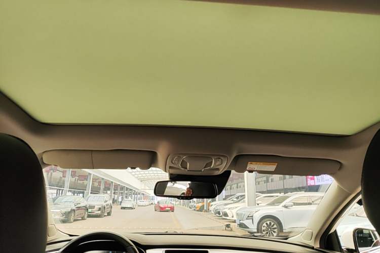 Used Rising ER6 2020 620 km ZhiZun Edition Headliner