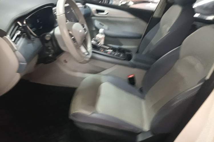 Used Rising ER6 2020 620 km Smart Drive Version Left Front Seat