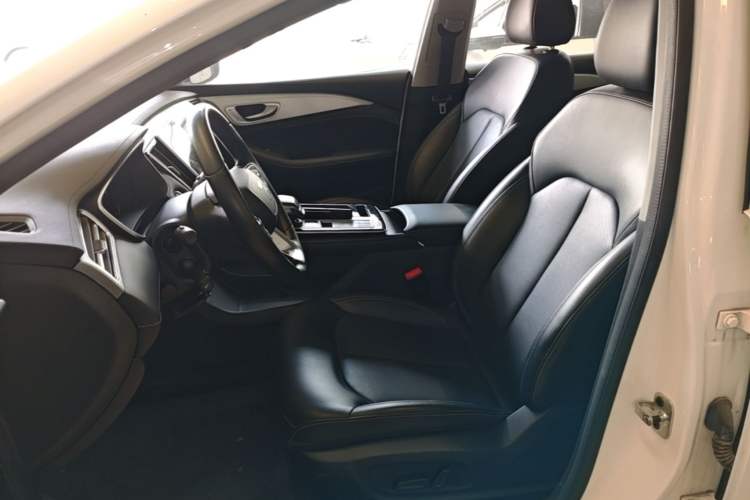 Used Rising ER6 2020 620 km Smart Drive Version Left Front Seat