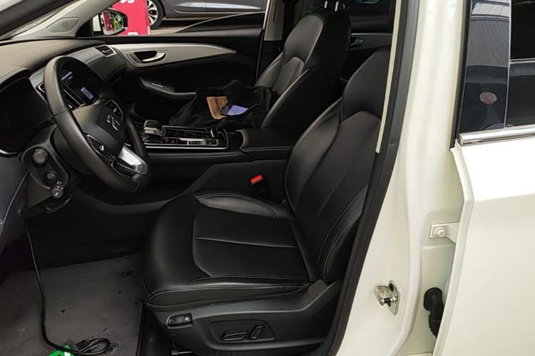 Used Rising ER6 2020 620 km ZhiZun Edition Left Front Seat