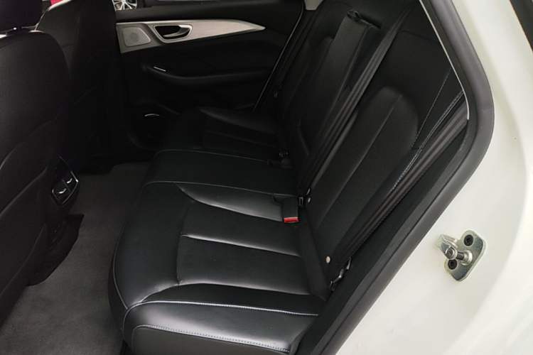 Used Rising ER6 2020 620 km ZhiZun Edition Left Rear Seat