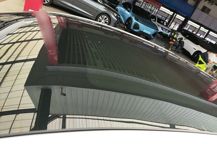 Used Rising ER6 2020 620 km ZhiZun Edition Roof