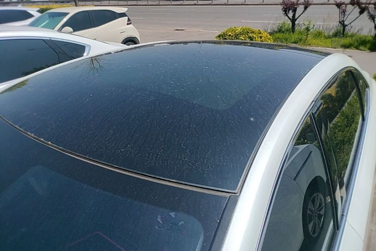 Used Rising ER6 2020 620 km Smart Edition Roof