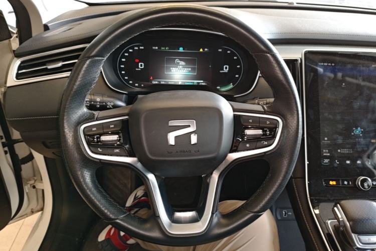 Used Rising ER6 2020 620 km Smart Drive Version Steering Wheel