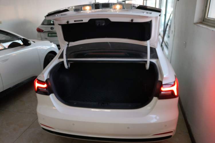 Used Rising ER6 2020 620 km Smart Edition Trunk
