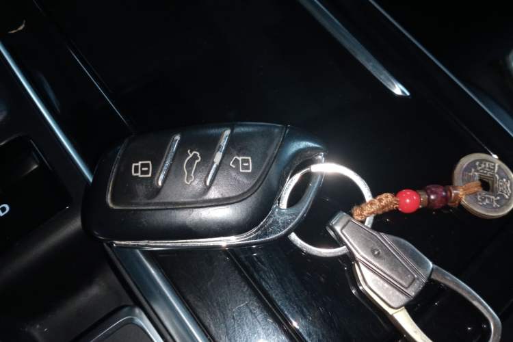 Used Rising ER6 2020 620 km Smart Edition Vehicle Key