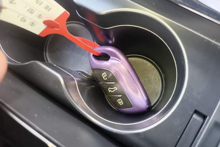 Used Rising ER6 2020 620 km Smart Edition Vehicle Key