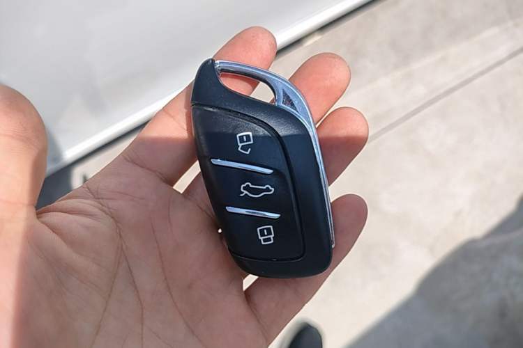 Used Rising ER6 2020 620 km Smart Edition Vehicle Key