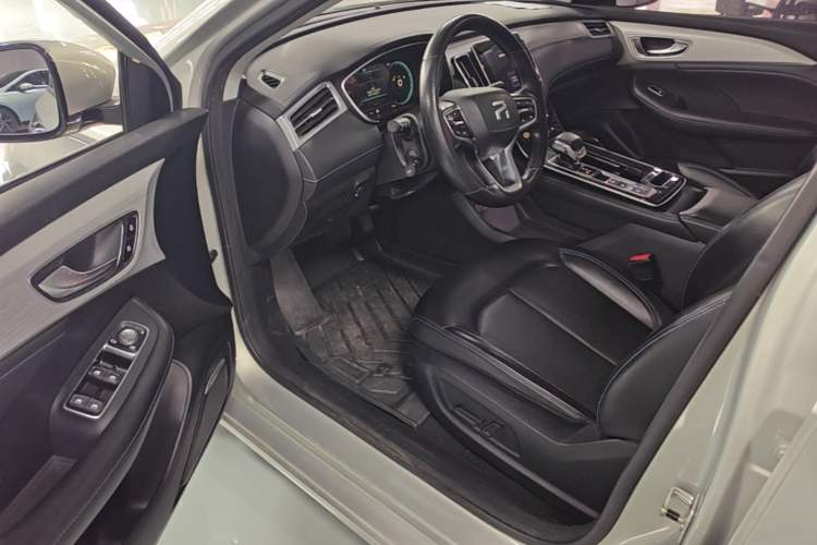Used Rising ER6 2020 620 km Smart Edition Driver Seat