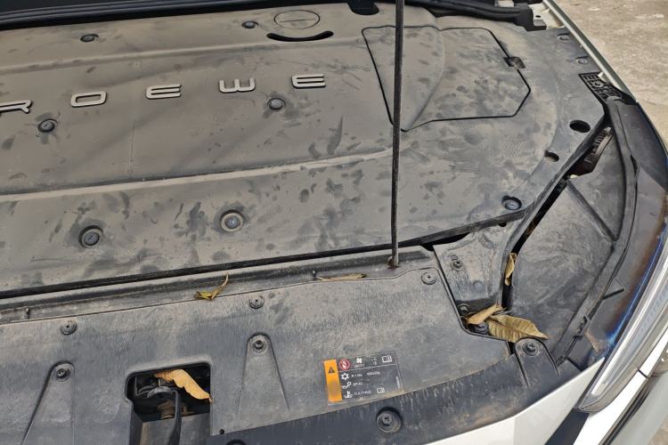 Used Rising ER6 2020 620 km Smart Edition Engine Bay Left