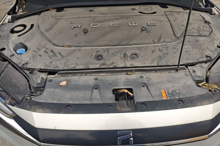 Used Rising ER6 2020 620 km Smart Edition Engine Bay