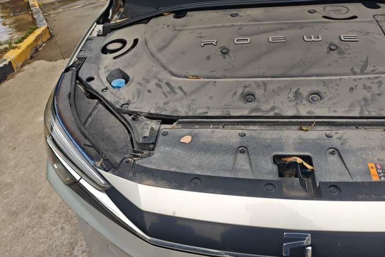 Used Rising ER6 2020 620 km Smart Edition Engine Bay Right