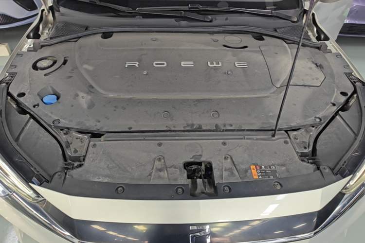 Used Rising ER6 2020 620 km Smart Edition Engine Bay