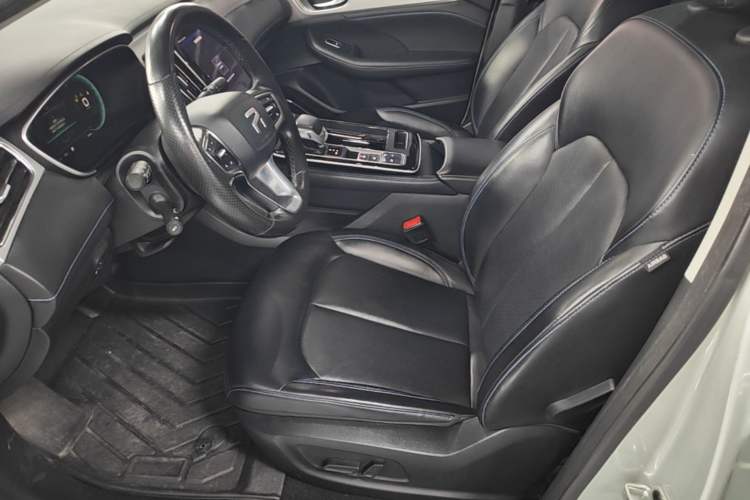 Used Rising ER6 2020 620 km Smart Edition Left Front Seat