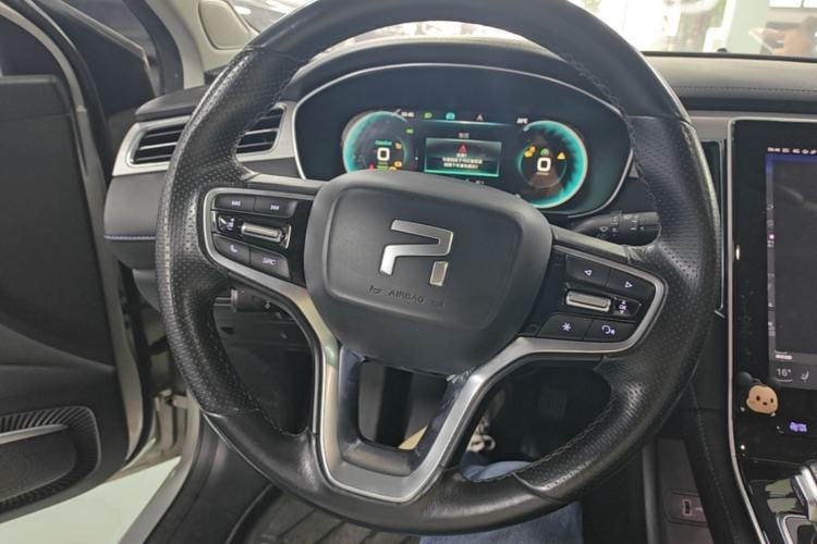 Used Rising ER6 2020 620 km Smart Edition Steering Wheel