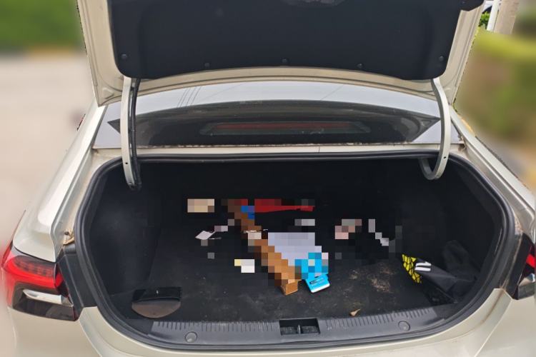 Used Rising ER6 2020 620 km Smart Edition Trunk