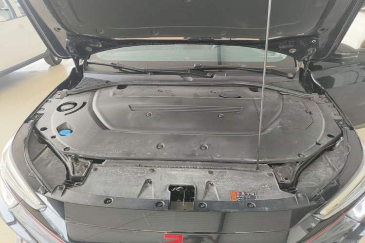Used Rising ER6 2021 New Dynamic Edition 620km Smart Enjoyment Version Engine Bay