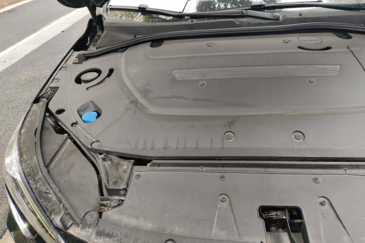 Used Rising ER6 2021 New Dynamic Edition 620km Smart Drive Version Engine Bay Right