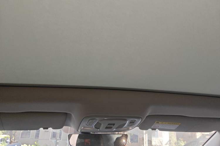 Used Rising ER6 2021 New Dynamic Edition 520km Smart Leading Version Headliner