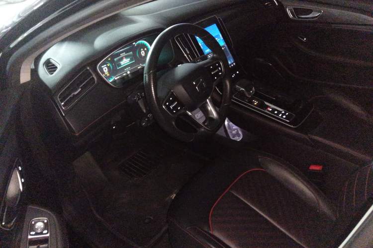 Used Rising ER6 2021 New Dynamic Edition 620km Smart Enjoyment Version Interior 3