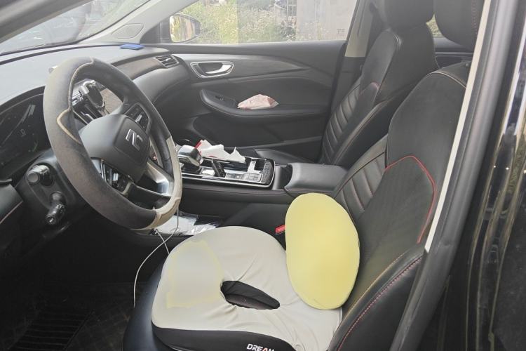 Used Rising ER6 2021 New Dynamic Edition 520km Smart Leading Version Left Front Seat