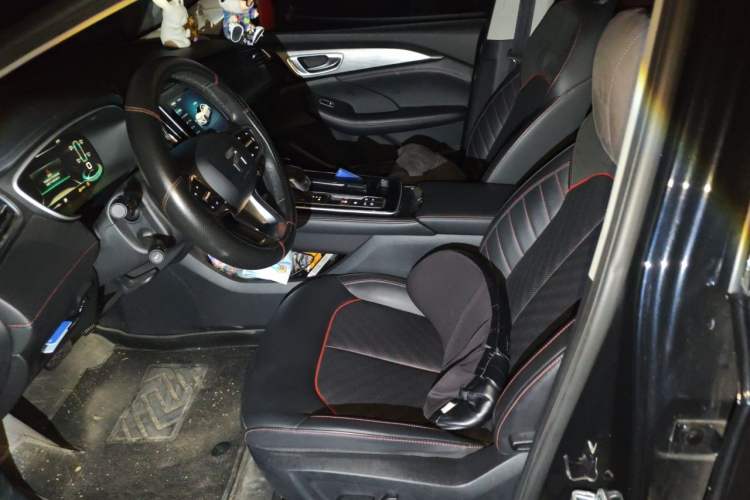 Used Rising ER6 2021 New Dynamic Edition 620km Smart Enjoyment Version Left Front Seat