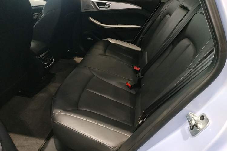 Used Rising ER6 2021 New Dynamic Edition 620km Smart Drive Version Left Rear Seat