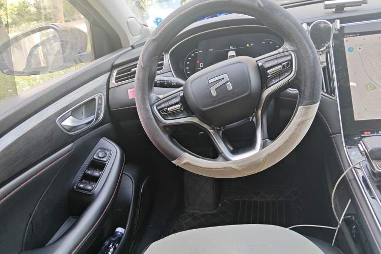 Used Rising ER6 2021 New Dynamic Edition 520km Smart Leading Version Steering Wheel