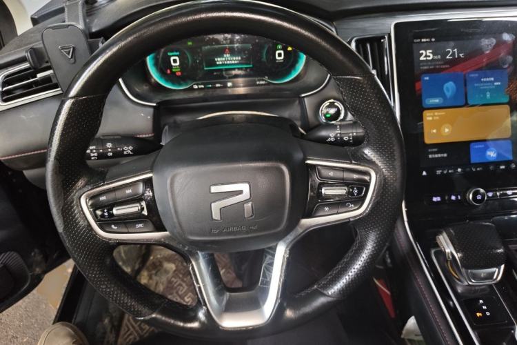 Used Rising ER6 2021 New Dynamic Edition 620km Smart Enjoyment Version Steering Wheel