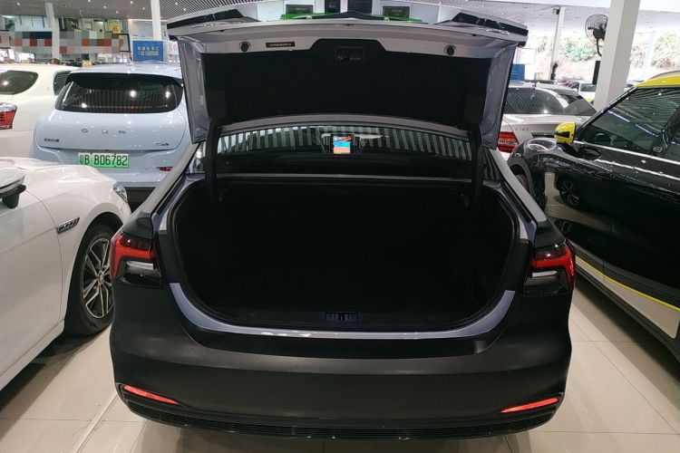Used Rising ER6 2021 New Dynamic Edition 620km Smart Drive Version Trunk