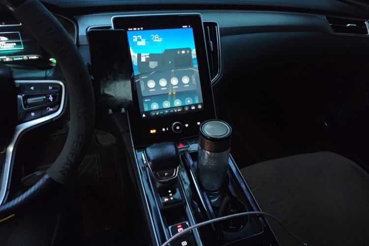 Used Rising ER6 2021 New Dynamic Edition 520km Smart Leading Version Audio And AC Panel
