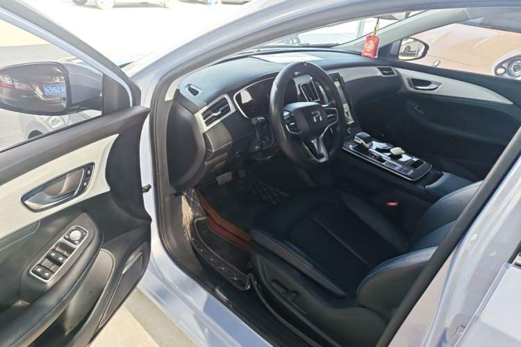Used Rising ER6 2021 New Dynamic Edition 620km Smart Enjoyment Version Driver Seat