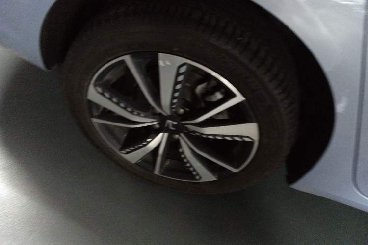 Used Rising ER6 2021 New Dynamic Edition 620km Smart Enjoyment Version Exterior 8
