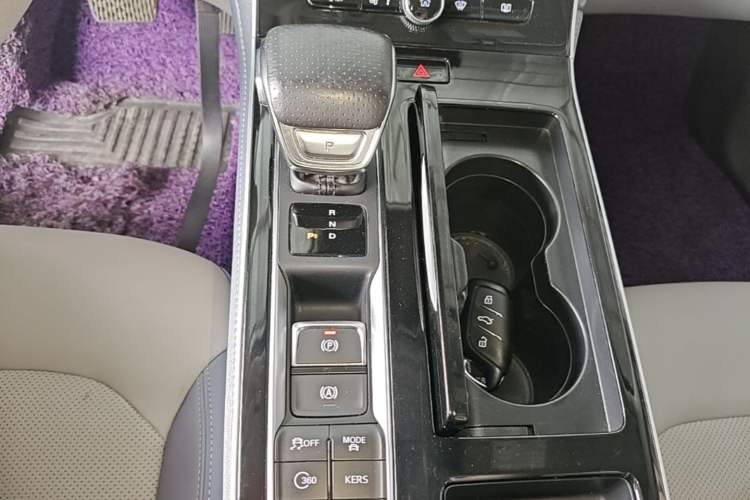 Used Rising ER6 2021 New Dynamic Edition 620km Smart Enjoyment Version Gear Lever