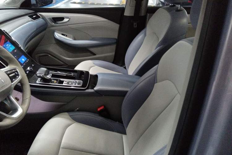 Used Rising ER6 2021 New Dynamic Edition 620km Smart Enjoyment Version Left Front Seat