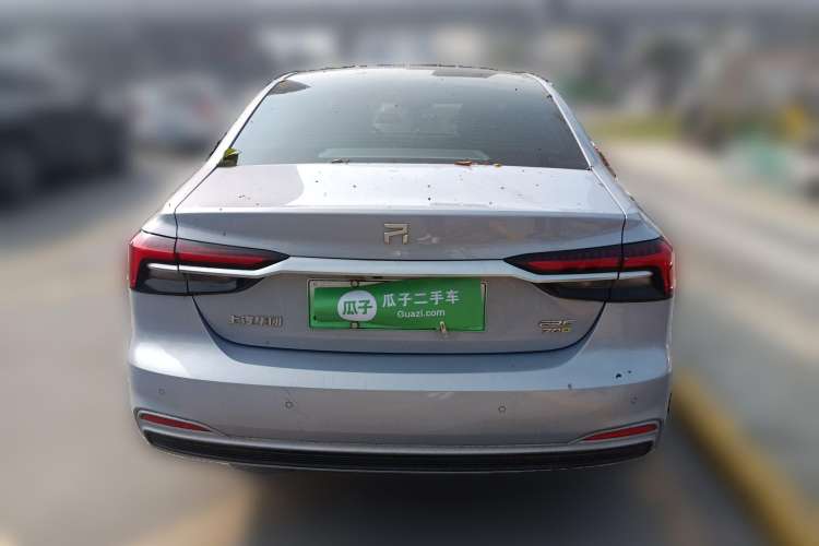 Used Rising ER6 2021 New Dynamic Edition 620km Smart Drive Version Rear